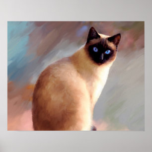 Kat 613 siamese poster