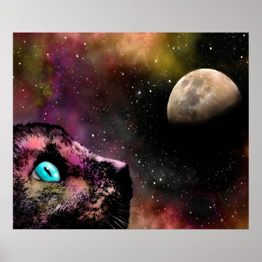 Kat 619 poster (Voorkant)