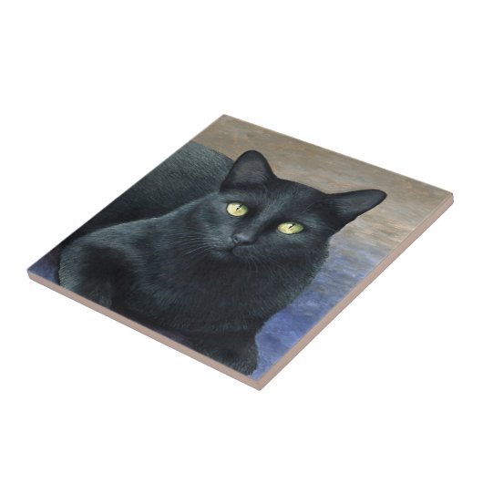 Kat 621 zwarte kat tegeltje (Zijkant)