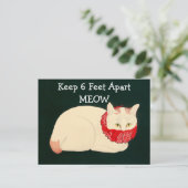 Kat 6 feet extra briefkaart (Staand voorkant)