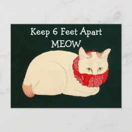 Kat 6 feet extra briefkaart