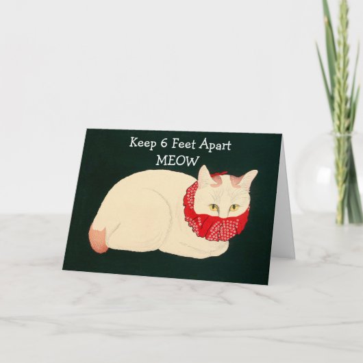 Kat 6 feet extra kaart (Voorkant)