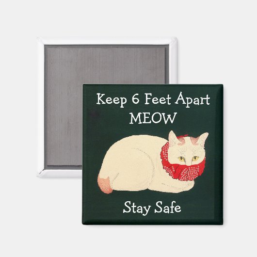 Kat 6 feet extra magneet (Voorkant / Achterkant)