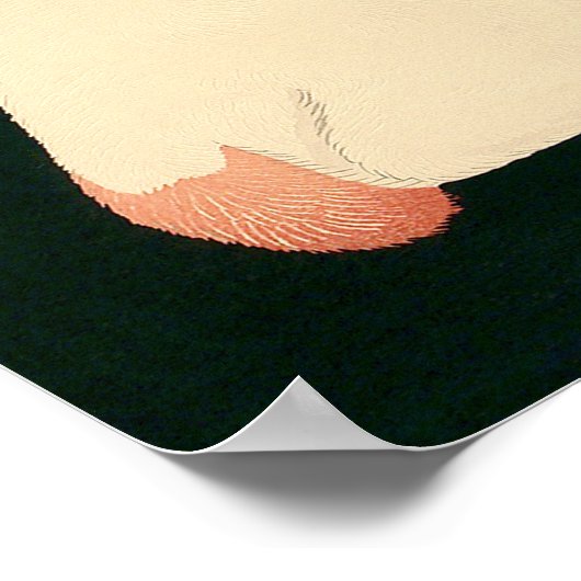 Kat 6 feet extra poster (Hoek)