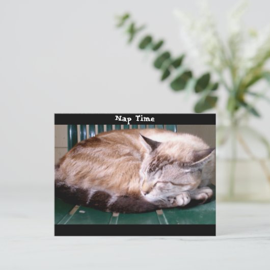 Kat 7, Nap Time, Briefkaart (Staand voorkant)
