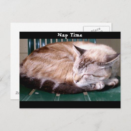 Kat 7, Nap Time, Briefkaart (Voorkant / Achterkant)