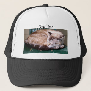 Kat 7, Nap Time, Pet