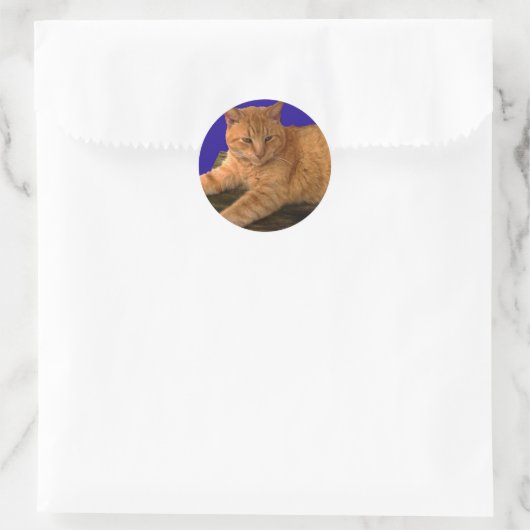 Kat 8, Stickers (Tas)