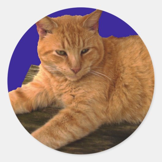 Kat 8, Stickers (Voorkant)