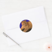 Kat 8, Stickers (Envelop)