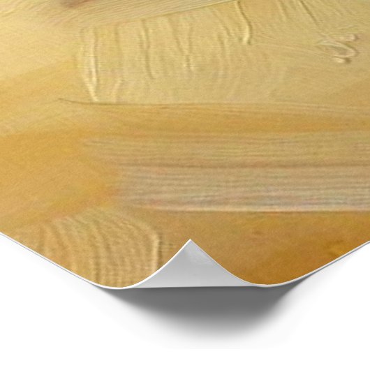 Kat aan het strand poster (Hoek)