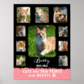 Kat Aangepast fotocollage Fed Borden Zwart Roze Poster (Voorkant)