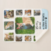 Kat Aangepast fotocollage Gladde Grenzen Wit Blauw Sherpa Deken (Voorkant (horizontaal))