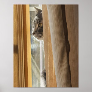 Kat Achter Gordijn Poster