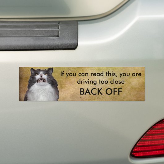 Kat achterkant Bumpersticker Sjabloon (Op auto)