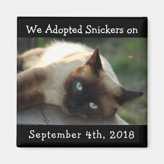 Kat Adoption Personalized Reminder Magnet (Voorkant)