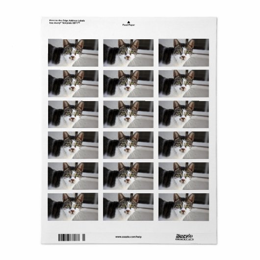 Kat Adres Label (Full Sheet)