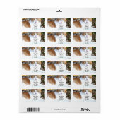 Kat-Adresetiketten Etiket (Full Sheet)