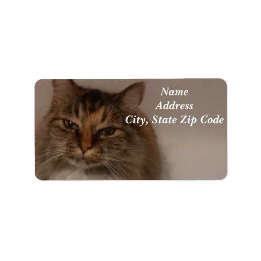 Kat-Adresetiketten Etiket (Voorkant)