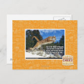 Kat afbeelding briefkaart (Voorkant / Achterkant)