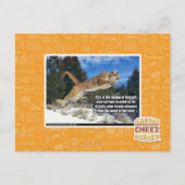 Kat afbeelding briefkaart (Voorkant)