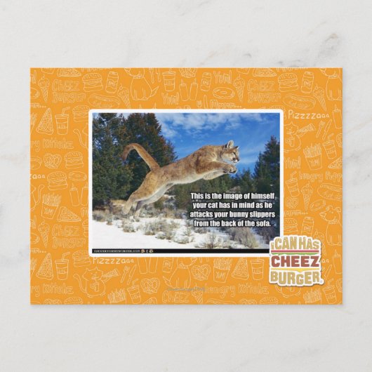 Kat afbeelding briefkaart (Voorkant)