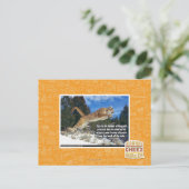 Kat afbeelding briefkaart (Staand voorkant)