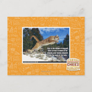 Kat afbeelding briefkaart