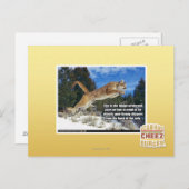 Kat afbeelding briefkaart (Voorkant / Achterkant)