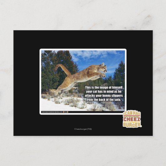 Kat afbeelding briefkaart (Voorkant)
