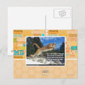 Kat afbeelding briefkaart (Voorkant / Achterkant)