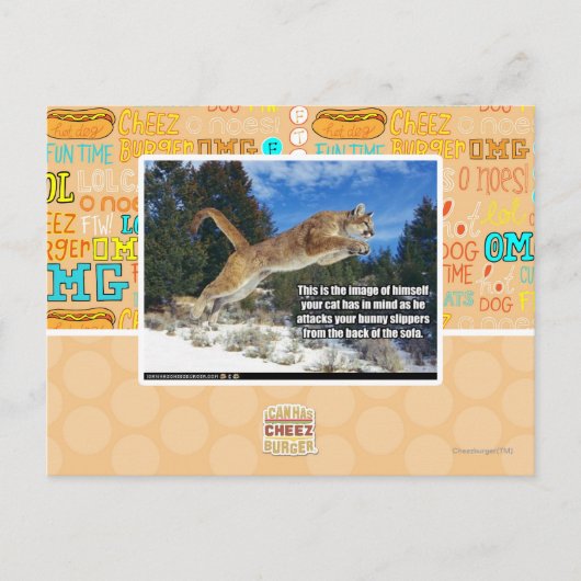 Kat afbeelding briefkaart (Voorkant)