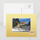 Kat afbeelding briefkaart (Voorkant / Achterkant)