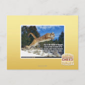 Kat afbeelding briefkaart (Voorkant)