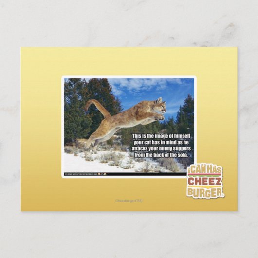 Kat afbeelding briefkaart (Voorkant)