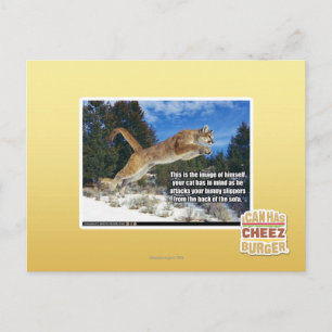 Kat afbeelding briefkaart