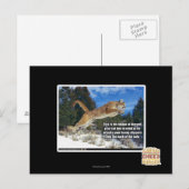 Kat afbeelding briefkaart (Voorkant / Achterkant)