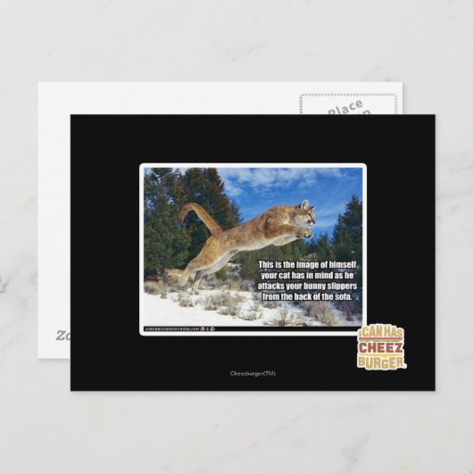 Kat afbeelding briefkaart (Voorkant / Achterkant)