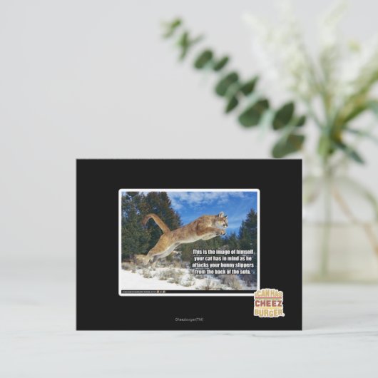 Kat afbeelding briefkaart (Staand voorkant)