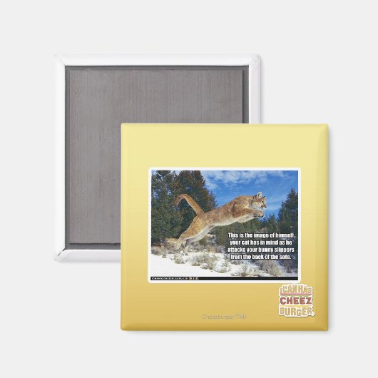 Kat afbeelding magneet (Voorkant / Achterkant)