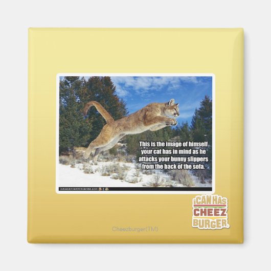 Kat afbeelding magneet (Voorkant)