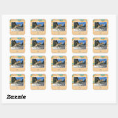 Kat afbeelding vierkante sticker (Vel)