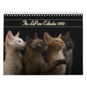 Kat Agenda 2012 Kalender (Hoes)