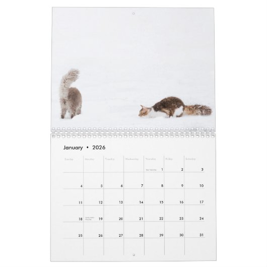 Kat Agenda 2012 Kalender (Jan 2026)