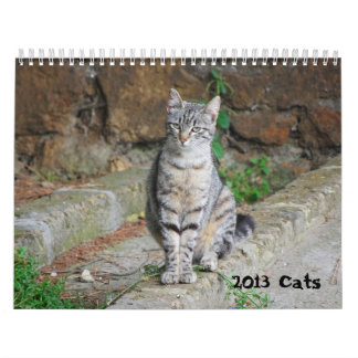 Kat-agenda 2013 kalender