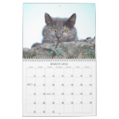 Kat-agenda 2013 kalender (Mar 2026)