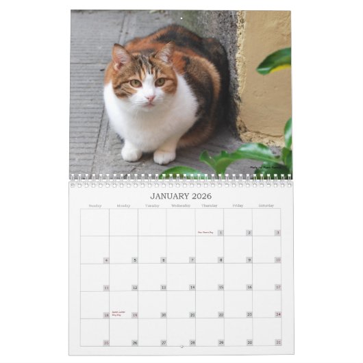Kat-agenda 2013 kalender (Jan 2026)