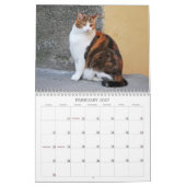 Kat-agenda 2014 kalender (Feb 2027)
