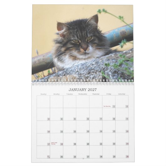 Kat-agenda 2014 kalender (Jan 2027)