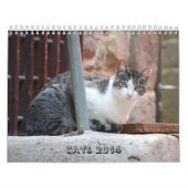 Kat-agenda 2014 kalender (Hoes)